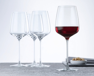 SPIEGELAU Willsberger Anniversary Red Wine in use