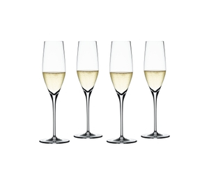 SPIEGELAU Authentis Champagne Flute filled with a drink on a white background