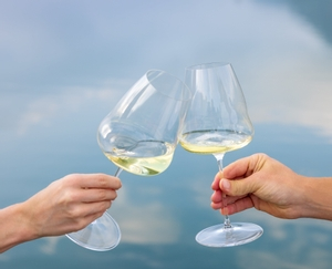 RIEDEL Winewings Sauvignon Blanc in use
