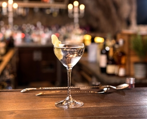 RIEDEL Drink Specific Glassware Nick & Nora Glass in use