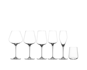 SPIEGELAU Hybrid Becher in der Gruppe