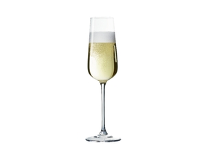 SPIEGELAU Capri Champagne Glass 