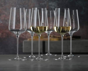 SPIEGELAU Definition White Wine Glass in use