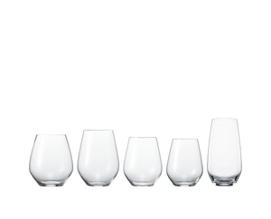 SPIEGELAU Authentis Casual All Purpose Tumbler - M in the group