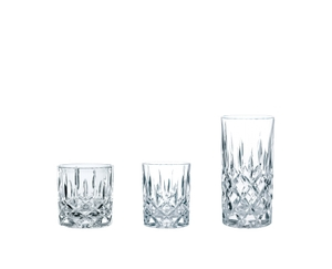 NACHTMANN Noblesse Tumbler Set filled with a drink on a white background