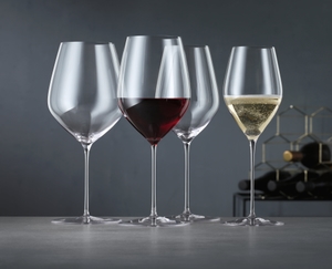 SPIEGELAU Hi-Lite Bundle Champagne Glasses in use