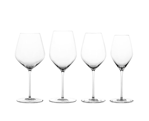 SPIEGELAU Hi-Lite Bundle Champagne Glasses in the group