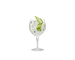 SPIEGELAU Capri Gin glass 