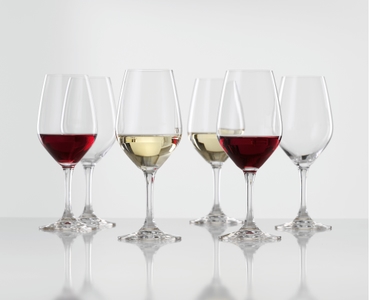 Special Glasses Expert Tasting Glass