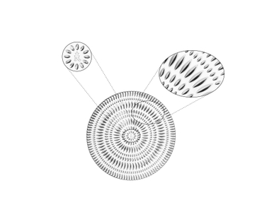 NACHTMANN Ethno Plate - 23cm | 9.055in 