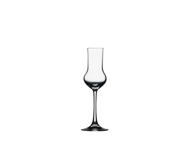 Vino Grande Spirit Glass