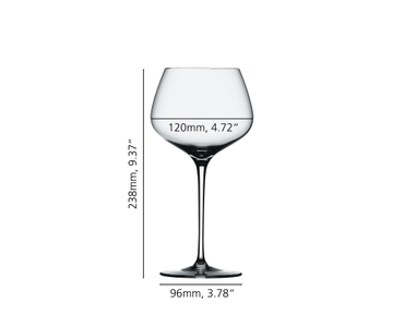 Willsberger Jubiläums-Burgunderglas - variant-extra-1418000-2