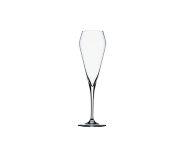 Willsberger Anniversary Champagne Flute - variant-extra-1418029-0