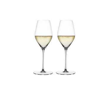 SPIEGELAU Hi-Lite Champagne Glass 