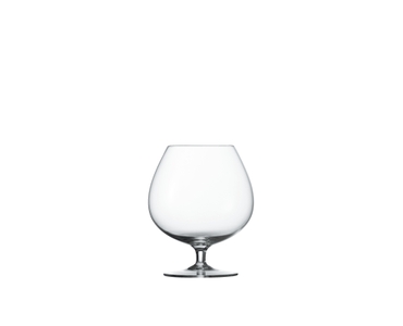 SPIEGELAU Special Glasses Cognac XL Premium 