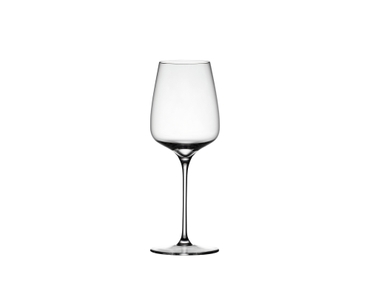 SPIEGELAU Willsberger Anniversary Red Wine 
