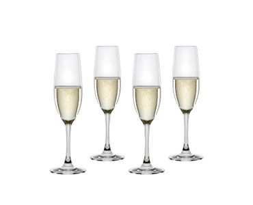 SPIEGELAU Winelovers Champagnerflöte gefüllt mit einem Getränk auf weißem Hintergrund