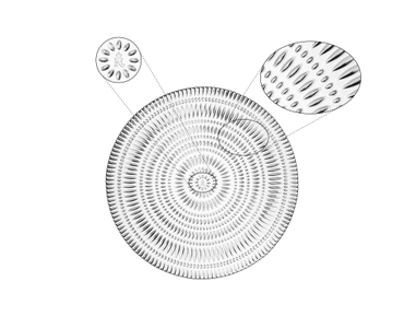 NACHTMANN Ethno Plate - 32cm | 12.598in 