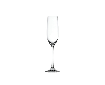 SPIEGELAU Salute Champagne Glass filled with a drink on a white background