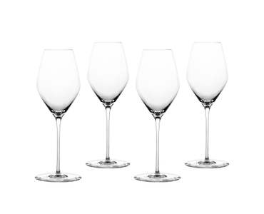 SPIEGELAU Hi-Lite Bundle Champagne Glasses 