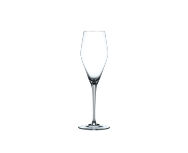 NACHTMANN ViNova Champagne Glass 