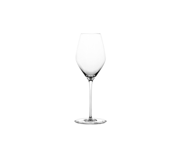 SPIEGELAU Highline Champagne Glass filled with a drink on a white background