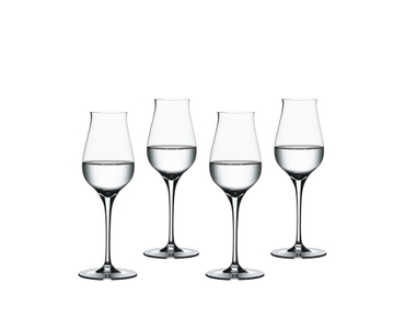 SPIEGELAU Authentis Digestive filled with a drink on a white background