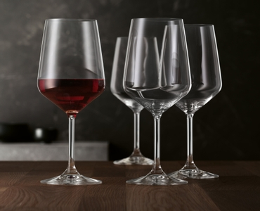 SPIEGELAU Style Red Wine Glass in use