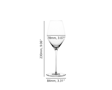 SPIEGELAU Highline Champagne Glass 