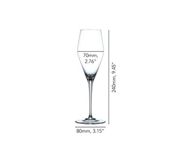NACHTMANN ViNova Champagne Glass 