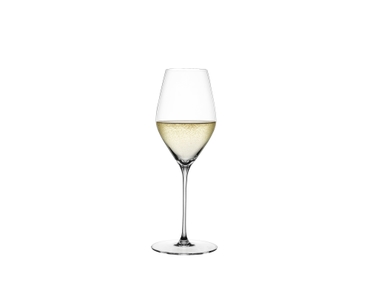 SPIEGELAU Hi-Lite Champagne Glass 