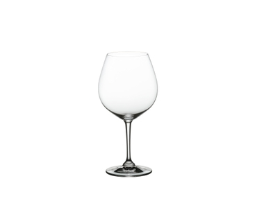 NACHTMANN ViVino Burgundy filled with a drink on a white background