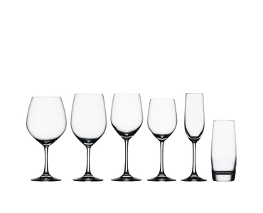 SPIEGELAU Vino Grande Rotweinglas in der Gruppe