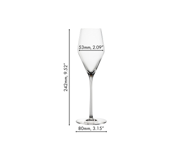 kradse godt Tolkning SPIEGELAU Definition Champagne Glass