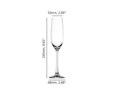 Salute Sektglas - variant-extra-4728007-2
