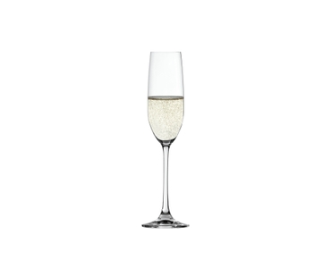 SPIEGELAU Salute Champagne Glass 