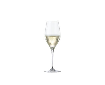 SPIEGELAU Special Glasses Prosecco filled with a drink on a white background