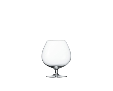 SPIEGELAU Special Glasses Brandy XL filled with a drink on a white background