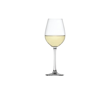 Salute White Wine Glass - variant-extra-4728002-0