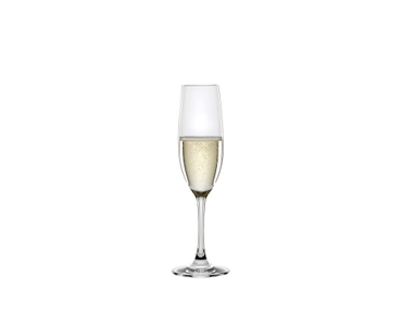 SPIEGELAU Winelovers Champagne Flute 