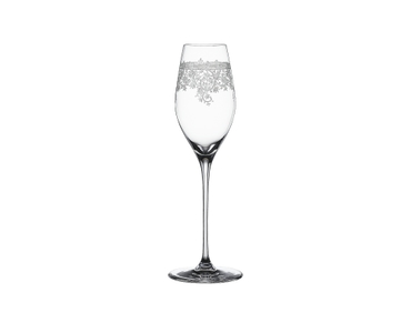 Arabesque Champagne Glass - variant-extra-4192229-0