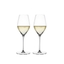 SPIEGELAU Hi-Lite Champagne Glass 