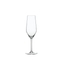 SPIEGELAU Style Champagne Flute filled with a drink on a white background