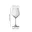 SPIEGELAU Lifestyle Burgundy Glass 