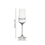 SPIEGELAU Capri Champagne Flute 