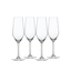 SPIEGELAU Style Champagne Flute filled with a drink on a white background