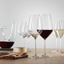 SPIEGELAU Hybrid White Wine Glass in use