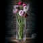 NACHTMANN Style Vase - 25.6 cm | 10.079 in in use