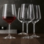 SPIEGELAU Style Bundle 