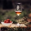 RIEDEL Mixing Set Cognac in uso